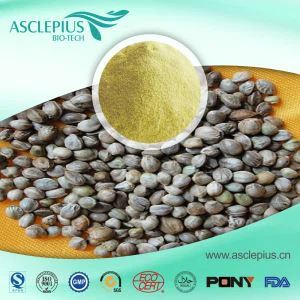 Hemp Seed Protein Powder Supplier Χονδρική