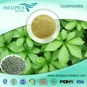 Προμηθευτής Gynostemma Pentaphyllum Gypenoside Extract Χονδρικό εμπόριο/jiaogulan