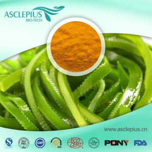 Εκχύλισμα φύκιων φυκιών, φύκια Fucoidan, fucoxanthin 5% 10% Προμηθευτής Χονδρική